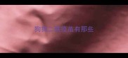狗狗二联疫苗有那些