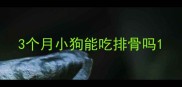 3个月小狗能吃排骨吗
