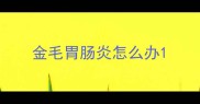 金毛胃肠炎怎么办
