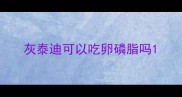 灰泰迪可以吃卵磷脂吗