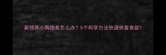 新领养小狗绝食怎么办5个科学方法快速恢复食欲