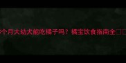 3个月大幼犬能吃橘子吗橘宝饮食指南全