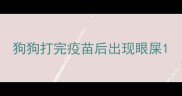 狗狗打完疫苗后出现眼屎