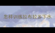 怎样训练拉布拉多下水