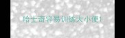 哈士奇容易训练大小便