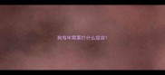 狗每年需要打什么疫苗