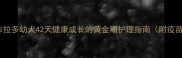 新手必看拉布拉多幼犬42天健康成长的黄金期护理指南附疫苗喂养全攻略