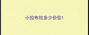 小拉布拉多少价位