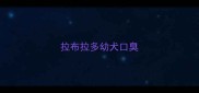 拉布拉多幼犬口臭