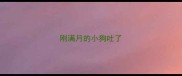 刚满月的小狗吐了