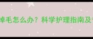 金毛幼犬局部掉毛怎么办科学护理指南及专业解决方案