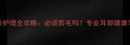 金毛犬耳朵护理全攻略必须剪毛吗专业耳部健康与造型管理