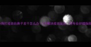 小狗打疫苗后鼻子发干怎么办3步解决疫苗反应附专业护理指南