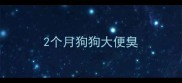 2个月狗狗大便臭