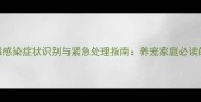 宠物犬冠状病毒感染症状识别与紧急处理指南养宠家庭必读的5大关键事项