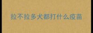 拉不拉多犬都打什么疫苗