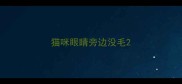 猫咪眼睛旁边没毛