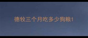 德牧三个月吃多少狗粮