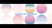 拉布拉多多久体外驱虫