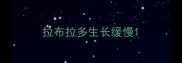 拉布拉多生长缓慢