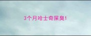 3个月哈士奇屎臭