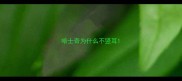 哈士奇为什么不竖耳