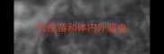 打疫苗和体内外驱虫