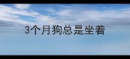 3个月狗总是坐着