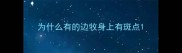 为什么有的边牧身上有斑点