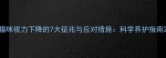 猫咪视力下降的7大征兆与应对措施科学养护指南