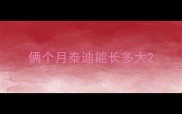 俩个月泰迪能长多大