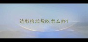 边牧捡垃圾吃怎么办