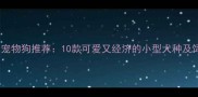 高性价比宠物狗推荐10款可爱又经济的小型犬种及饲养指南