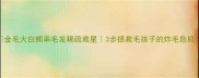 金毛大白熊串毛发稀疏救星3步拯救毛孩子的炸毛危机