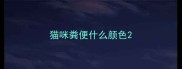 猫咪粪便什么颜色