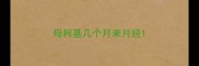 母柯基几个月来月经