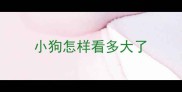 小狗怎样看多大了