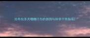拉布拉多犬嗜睡行为的原因与科学干预指南
