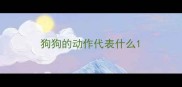狗狗的动作代表什么