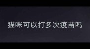 猫咪可以打多次疫苗吗