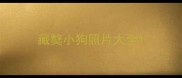 藏獒小狗照片大全