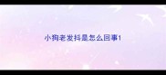 小狗老发抖是怎么回事