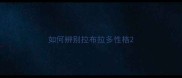 如何辨别拉布拉多性格
