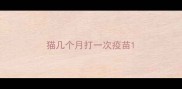 猫几个月打一次疫苗