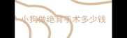 小狗做绝育手术多少钱