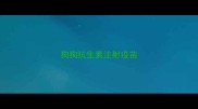 狗狗抗生素注射疫苗