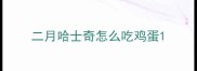 二月哈士奇怎么吃鸡蛋
