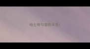 哈士奇与狼的关系