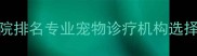 北京权威宠物医院排名专业宠物诊疗机构选择指南与口碑解读