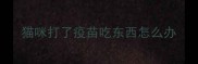 猫咪打了疫苗吃东西怎么办